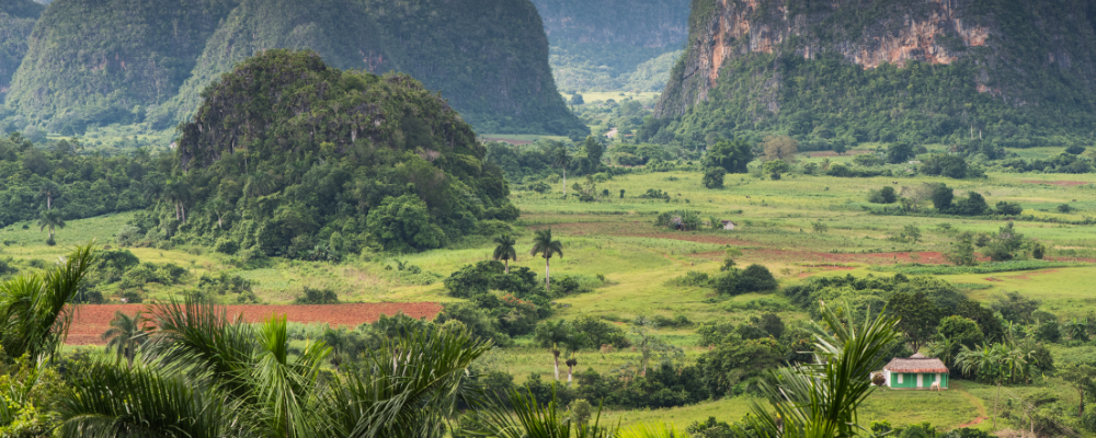 Quelle est la fonction magique de la terre de Cuba ?