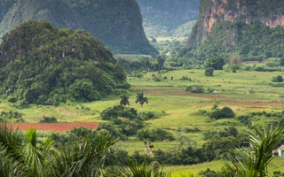 Quelle est la fonction magique de la terre de Cuba ?
