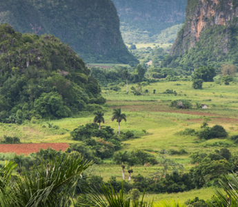 Quelle est la fonction magique de la terre de Cuba ?