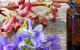 Quelle est la différence entre les fleurs de Bach et les élixirs floraux ?