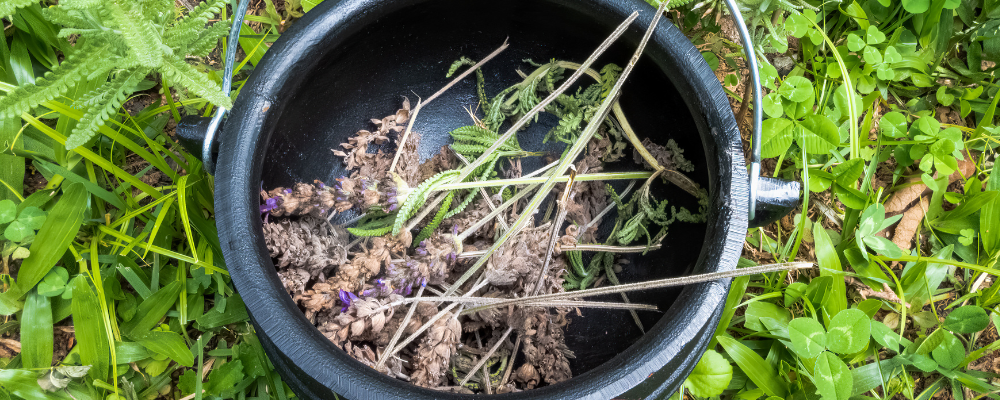 Quels herbes et fleurs privilégier pour Beltane ?