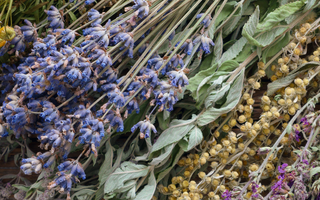 Quelles herbes ou huiles associer à une bougie dagyde ?