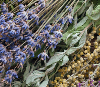 Quelles herbes ou huiles associer à une bougie dagyde ?
