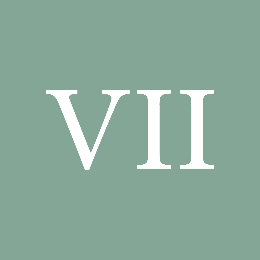 Maison VII