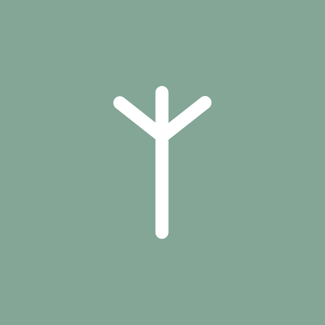 Algiz (ᛉ) | Aeternum