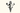 What does the Rebis mean in alchemy?