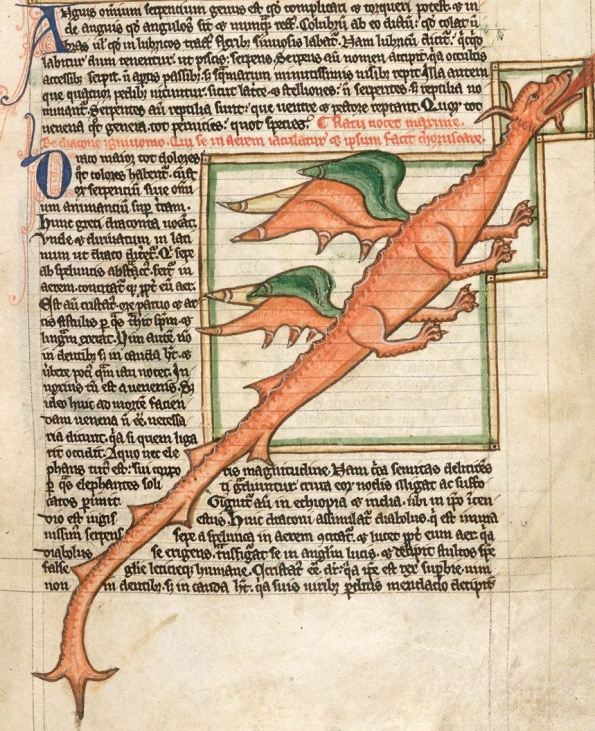 Dragon médiéval dans le bestiaire Harley MS 3244, 13ème siècle — Aeternum, blog & boutique ésotérique