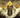 Woden