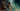 Revenant (le)