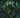 Arawn