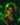 Syrinx