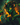Typhon