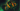 Typhon