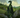 Dragon Celte (le)
