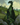 Dragon Celte (le)