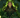 Sidhe (les)
