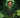 Leprechaun (les)