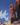 Griffon (le)