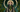 Arianrhod