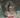 Lakshmi
