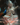 Saraswati