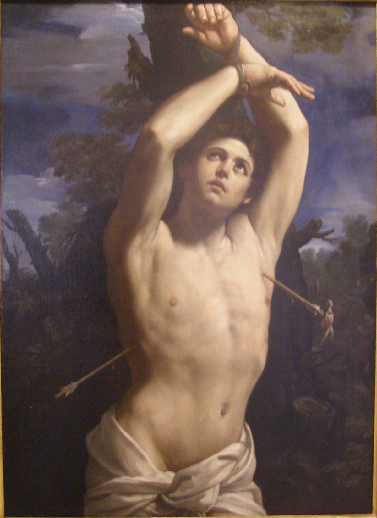 Saint Sébastien attaché et transpercé de flèches, peinture de Guido Reni