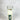 Bougie magique pour la Prospérité - Aeternum - a glass of alcohol sitting next to a glass  - # boutique ésoterisme# - #wicca# 