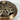 Brûle-encens 9 Dragons en métal - Aeternum - Brûle-encens 9 Dragons en métal - Aeternum - a close up of a chocolate cake  - # boutique ésoterisme# - #wicca#  - # boutique ésoterisme# - #wicca# 