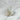 Cristaux de Quartz Aura Pearl - P10 - Aeternum - Cristaux de Quartz Aura Pearl - P10 - Aeternum - Cristaux de Quartz Aura Pearl - P10 - Aeternum - Cristaux de Quartz Aura Pearl - P10 - #esoterisme# - #wicca#  - # boutique ésoterisme# - #wicca#  - # boutique ésoterisme# - #wicca# 