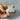Cristaux de Quartz Aura Pearl - P1 - Aeternum - Cristaux de Quartz Aura Pearl - P1 - Aeternum - Cristaux de Quartz Aura Pearl - P1 - Aeternum - Cristaux de Quartz Aura Pearl - P1 - Aeternum - #original_alt_text# - #esoterisme# - #wicca#  - #esoterisme# - #wicca#  - # boutique ésoterisme# - #wicca#  - # boutique ésoterisme# - #wicca# 