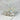 Cristaux de Quartz Aura Pearl - P3 - Aeternum - Cristaux de Quartz Aura Pearl - P3 - Aeternum - Cristaux de Quartz Aura Pearl - P3 - Aeternum - Cristaux de Quartz Aura Pearl - P3 - Aeternum - #original_alt_text# - #esoterisme# - #wicca#  - #esoterisme# - #wicca#  - # boutique ésoterisme# - #wicca#  - # boutique ésoterisme# - #wicca# 