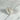 Cristaux de Quartz Aura Pearl - P6 - Aeternum - Cristaux de Quartz Aura Pearl - P6 - Aeternum - Cristaux de Quartz Aura Pearl - P6 - Aeternum - Cristaux de Quartz Aura Pearl - P6 - Aeternum - #original_alt_text# - #esoterisme# - #wicca#  - #esoterisme# - #wicca#  - # boutique ésoterisme# - #wicca#  - # boutique ésoterisme# - #wicca# 