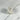 Cristaux de Quartz Aura Pearl - P6 - Aeternum - Cristaux de Quartz Aura Pearl - P6 - Aeternum - Cristaux de Quartz Aura Pearl - P6 - Aeternum - #original_alt_text# - #esoterisme# - #wicca#  - #esoterisme# - #wicca#  - # boutique ésoterisme# - #wicca# 
