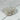 Cristaux de Quartz Aura Pearl - P7 - Aeternum - Cristaux de Quartz Aura Pearl - P7 - Aeternum - Cristaux de Quartz Aura Pearl - P7 - Aeternum - Cristaux de Quartz Aura Pearl - P7 - #esoterisme# - #wicca#  - # boutique ésoterisme# - #wicca#  - # boutique ésoterisme# - #wicca# 