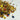 Encens rituel Danse des Elfes - Aeternum - Encens rituel Danse des Elfes - Aeternum - Encens rituel Danse des Elfes - Aeternum - Encens rituel Danse des Elfes - Aeternum - #original_alt_text# - #esoterisme# - #wicca#  - #esoterisme# - #wicca#  - # boutique ésoterisme# - #wicca#  - # boutique ésoterisme# - #wicca# 