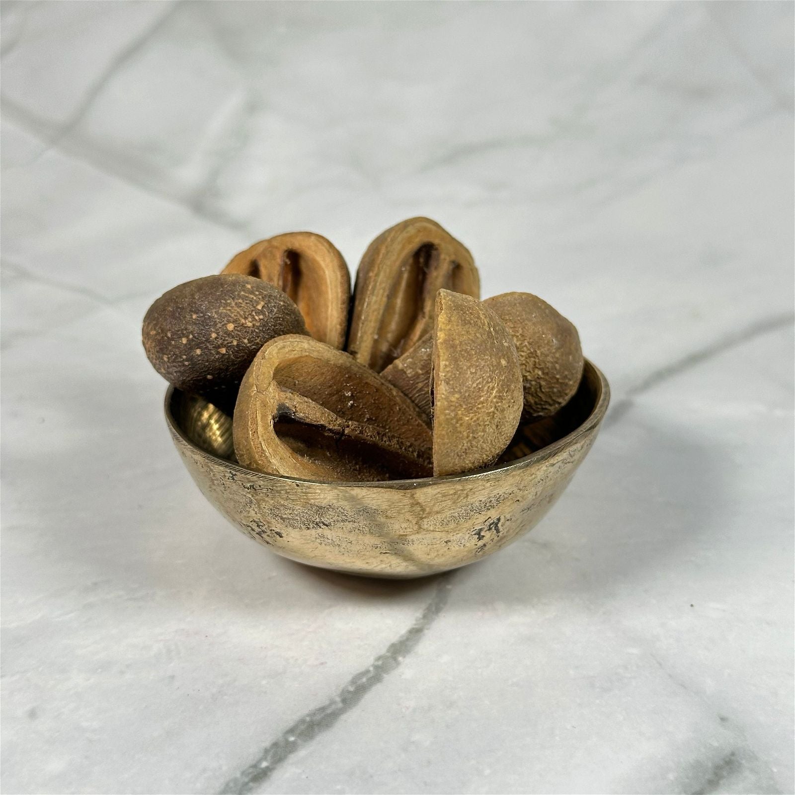 Fève d'Opelé - Aeternum - Fève d'Opelé - Aeternum - Fève d'Opelé - Aeternum - #original_alt_text# - #esoterisme# - #wicca#  - #esoterisme# - #wicca#  - # boutique ésoterisme# - #wicca# 