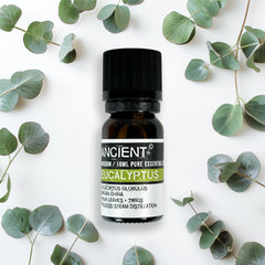 Huile essentielle Eucalyptus
