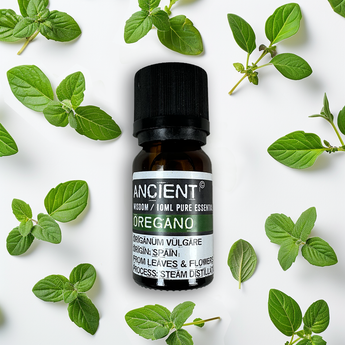 Huile essentielle d'Origan - Aeternum - a bottle of wine and a green plant  - # boutique ésoterisme# - #wicca# 