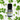 Huile essentielle de Coriandre - Aeternum - a bottle of alcohol sitting on top of a plant  - # boutique ésoterisme# - #wicca# 