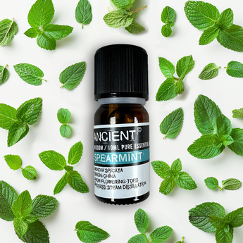 Huile essentielle de Menthe Verte - Aeternum - a bottle of beer and a cell phone  - # boutique ésoterisme# - #wicca# 