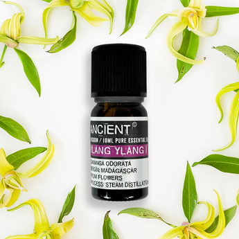 Huile essentielle de Ylang Ylang - Aeternum - Huile essentielle de Ylang Ylang - Aeternum - Huile essentielle de Ylang Ylang - Aeternum - #original_alt_text# - #esoterisme# - #wicca#  - #esoterisme# - #wicca#  - # boutique ésoterisme# - #wicca# 