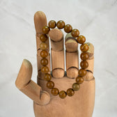 Bracelet Bois Fossilisé (8mm)
