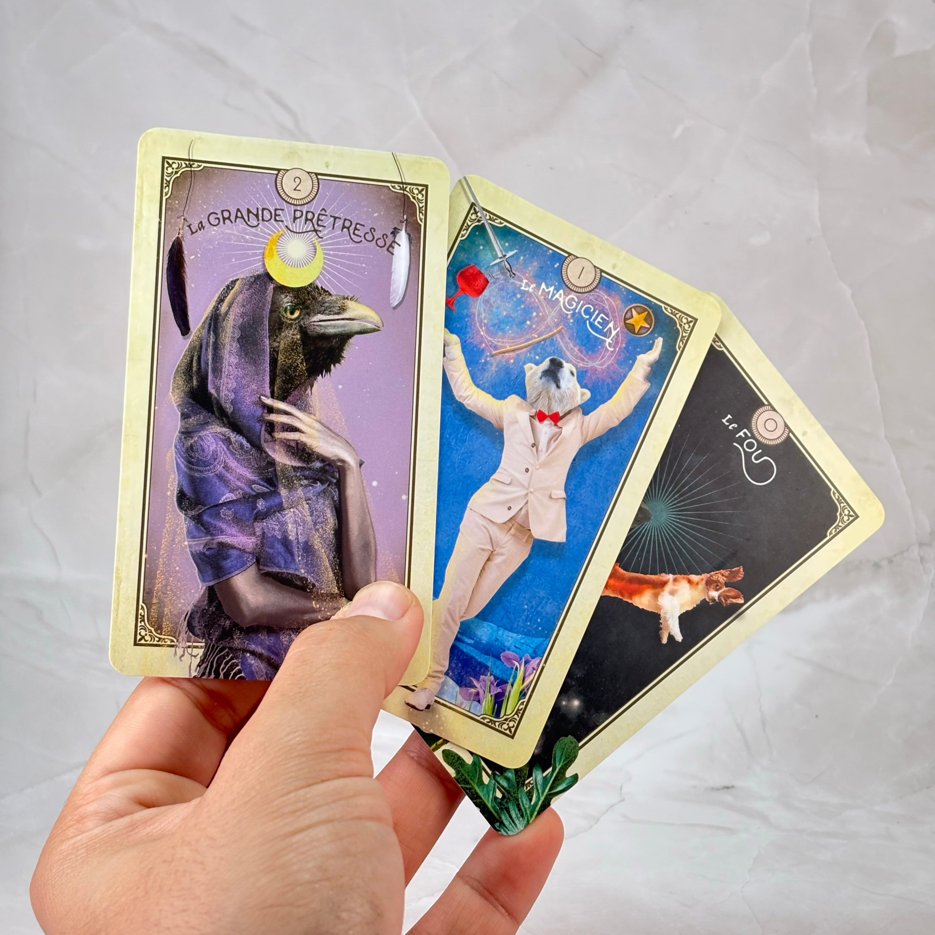 Le Tarot des créatures extraordinaires