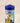 Pack rituel - Nettoyage complet de la maison