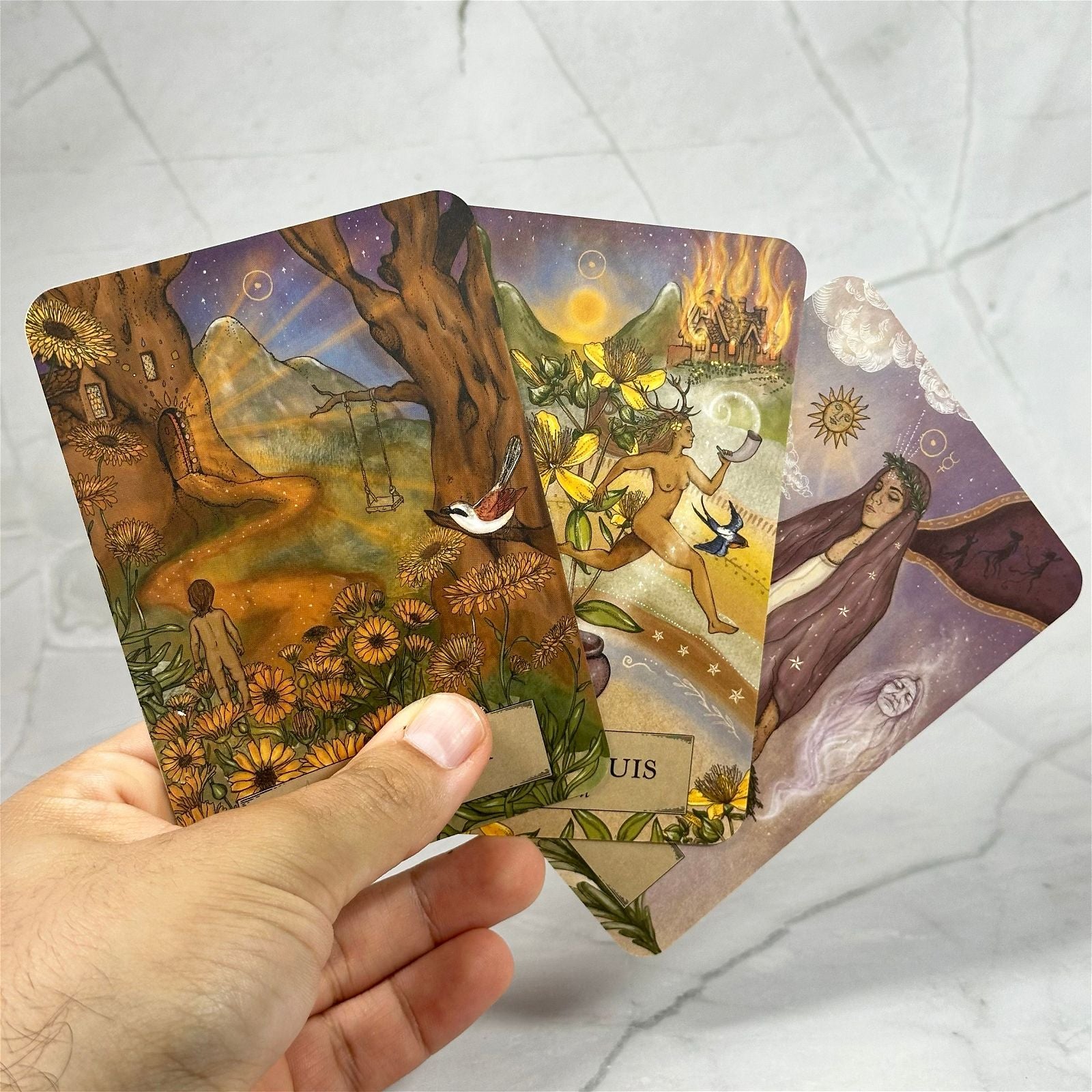 L'Oracle des Astres et des Plantes - Aeternum - L'Oracle des Astres et des Plantes - Aeternum - L'Oracle des Astres et des Plantes - Aeternum - #original_alt_text# - #esoterisme# - #wicca#  - #esoterisme# - #wicca#  - # boutique ésoterisme# - #wicca# 