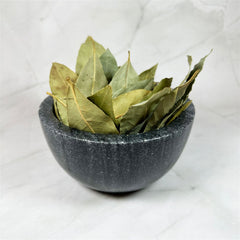 Laurier (feuilles) - Aeternum - a large pot filled with green leafy plants  - # boutique ésoterisme# - #wicca# 