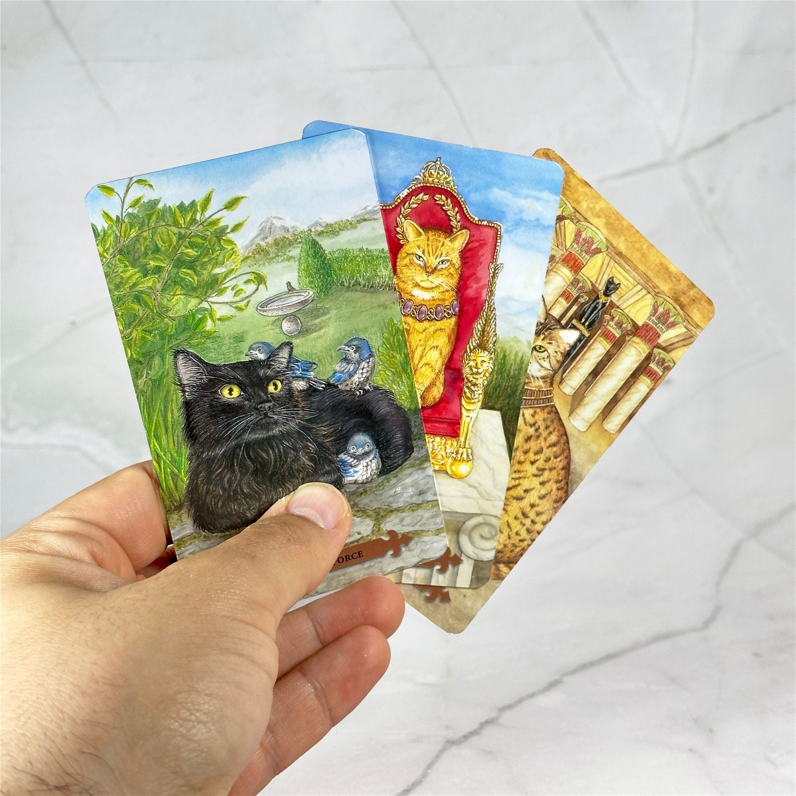 Le Tarot des Chats Mystiques - Aeternum - Le Tarot des Chats Mystiques - Aeternum - Le Tarot des Chats Mystiques - Aeternum - #original_alt_text# - #esoterisme# - #wicca#  - #esoterisme# - #wicca#  - # boutique ésoterisme# - #wicca# 