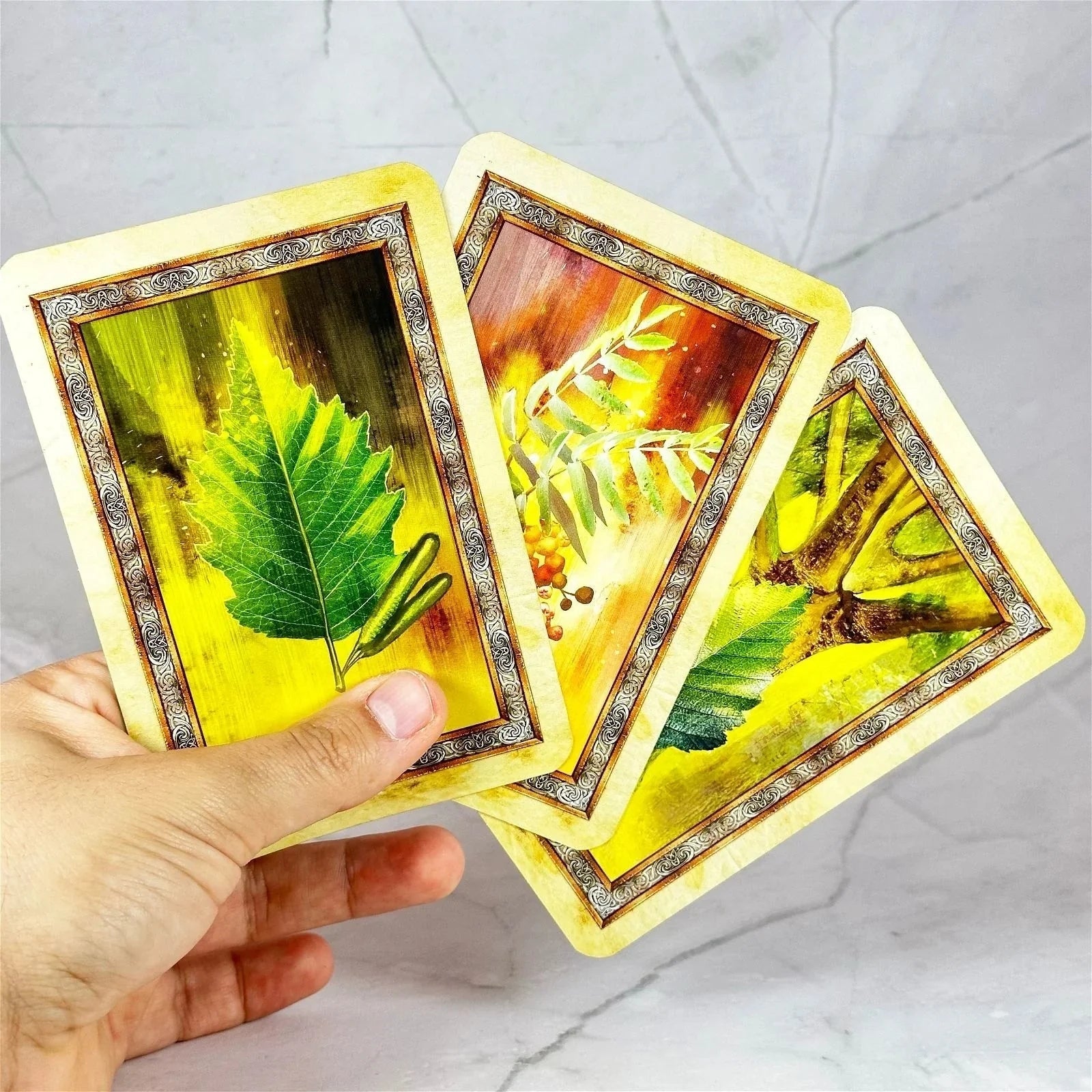 Oracle de l'Arbre Celtique - Aeternum - Oracle de l'Arbre Celtique - Aeternum - Oracle de l'Arbre Celtique - Aeternum - #original_alt_text# - #esoterisme# - #wicca#  - #esoterisme# - #wicca#  - # boutique ésoterisme# - #wicca# 