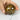 Orgonite sphère Œil de Tigre - Aeternum - Orgonite sphère Œil de Tigre - Aeternum - Orgonite sphère Œil de Tigre - Aeternum - #original_alt_text# - #esoterisme# - #wicca#  - #esoterisme# - #wicca#  - # boutique ésoterisme# - #wicca# 