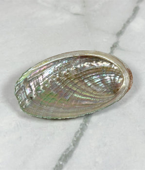 Petite coquille d'Ormeau - Aeternum - Petite coquille d'Ormeau - Aeternum - Petite coquille d'Ormeau - Aeternum - Petite coquille d'Ormeau - #esoterisme# - #wicca#  - # boutique ésoterisme# - #wicca#  - # boutique ésoterisme# - #wicca# 